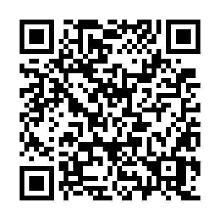 QR code for plate 393-WLV