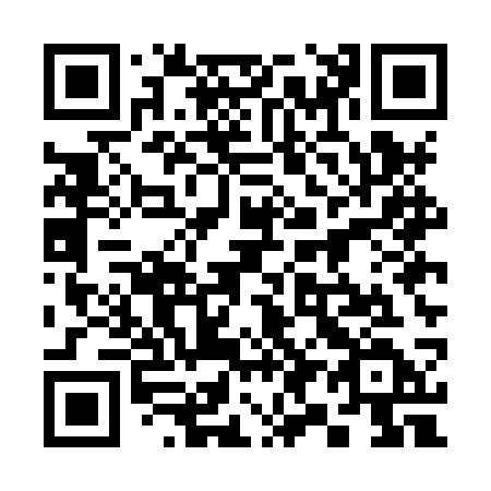 QR code for 395-HSD