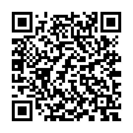 QR code for 395-ZIR