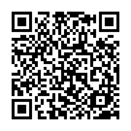 QR code for plate 395-INM