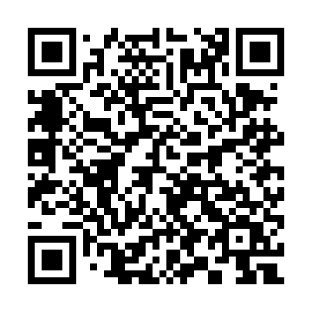 QR code for 397-DEV