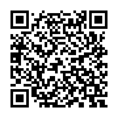 QR code for 397-IUU