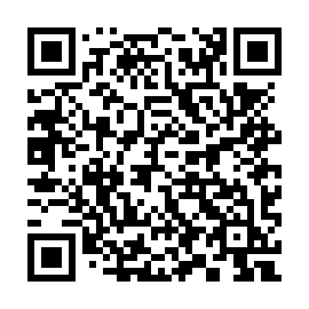 QR code for 397-NYJ
