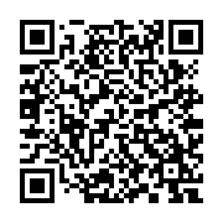 QR code for 397-ZHO