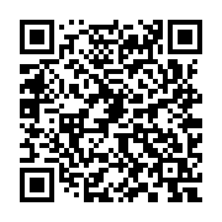 QR code for plate 397-YYS