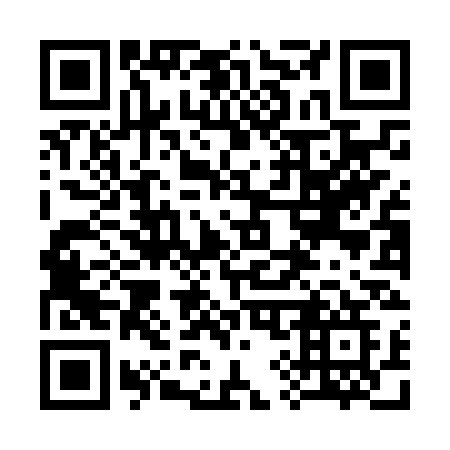 QR code for plate 398-NSG