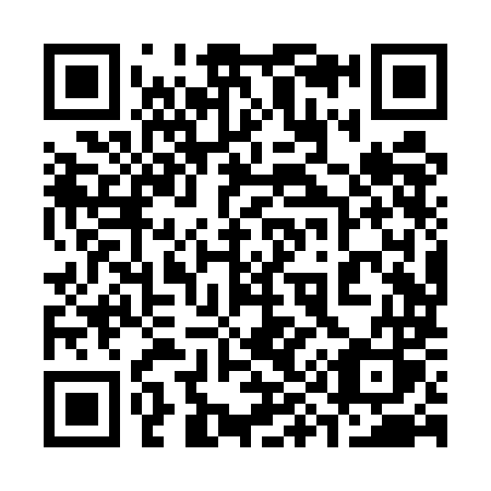 QR code for plate 398-UMS