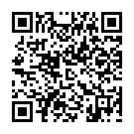 QR code for 398XUV