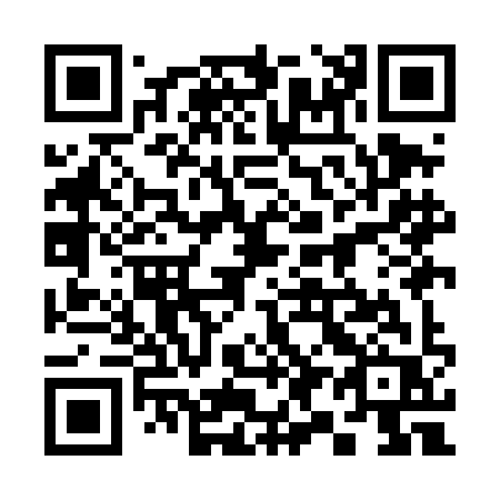 QR code for 399-DIR