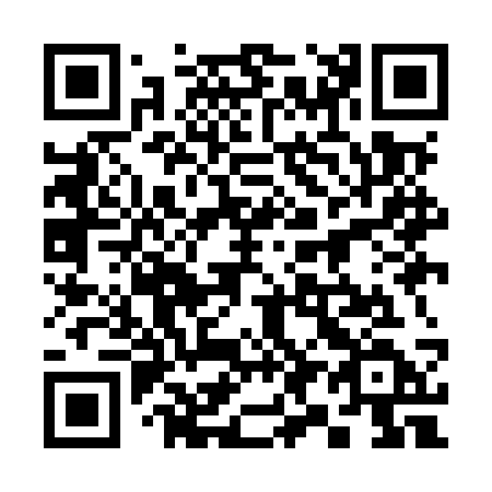 QR code for plate 399-MSD