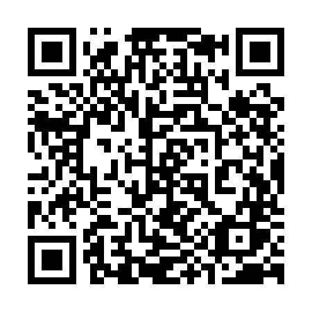 QR code for plate 399-QNS