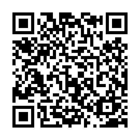 QR code for plate 400-DSW