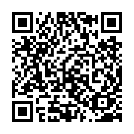 QR code for plate 401-WIP