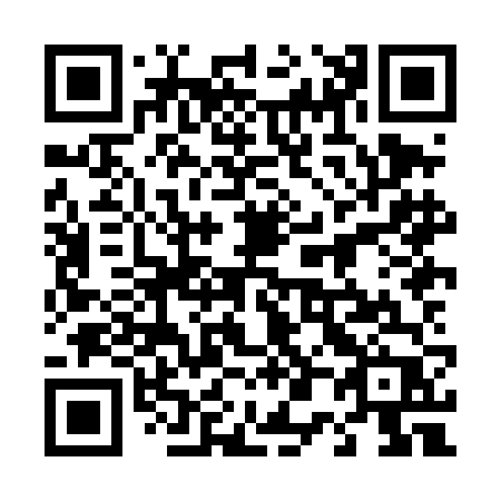 QR code for plate 408-DFP