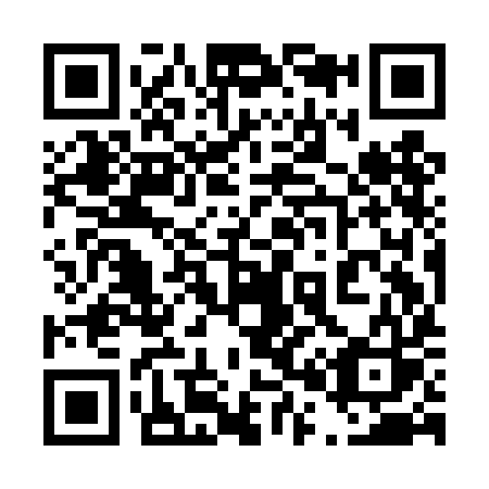 QR code for plate 409-DIS