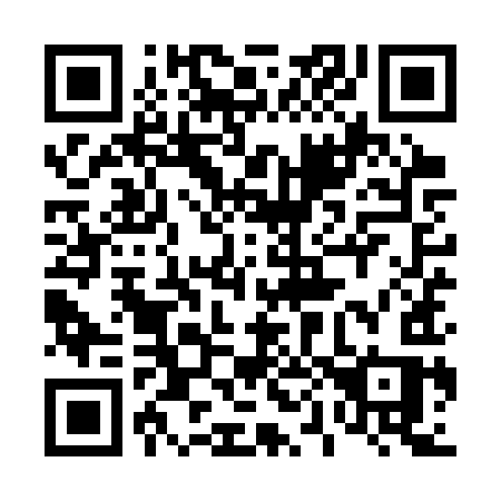 QR code for plate 409-SYS
