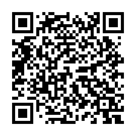 QR code for 411-BVS