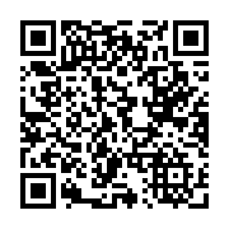QR code for 411-GUG