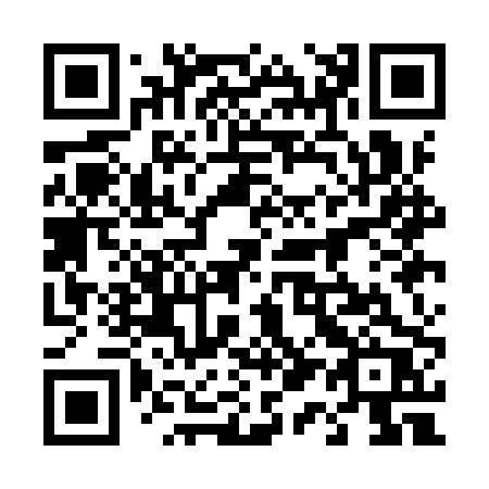 QR code for 411-IPR