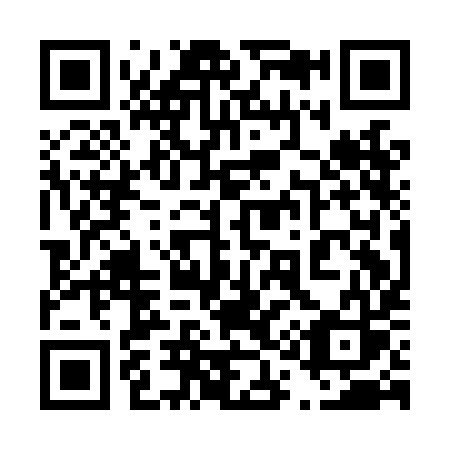QR code for 411-LIS