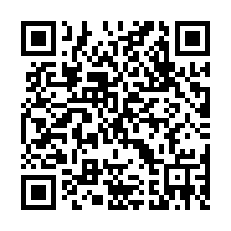 QR code for 411-QSU