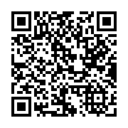 QR code for 411-SLM