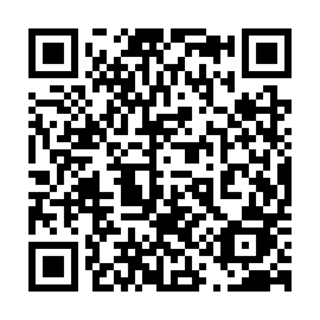 QR code for 411-SPJ