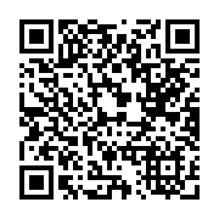 QR code for 411BLN