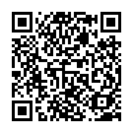 QR code for plate 411-BUI
