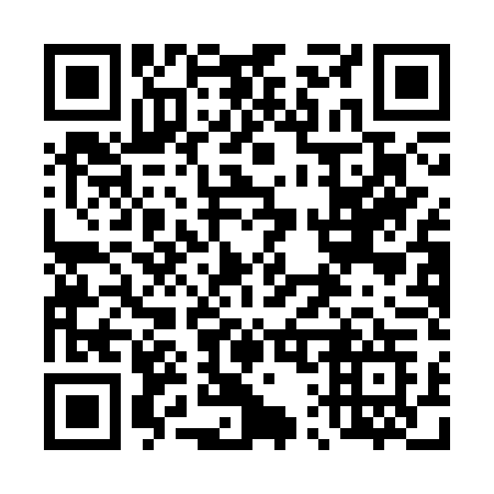 QR code for plate 411-CTG