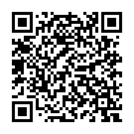 QR code for 411EMN