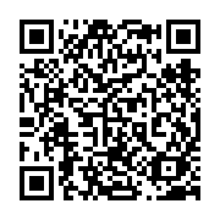 QR code for plate 411-FIK