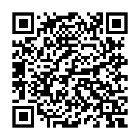 QR code for plate 411-HOS