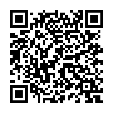 QR code for 411NEX