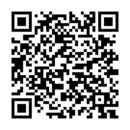 QR code for plate 411-TAP