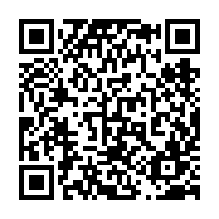 QR code for 411VIV