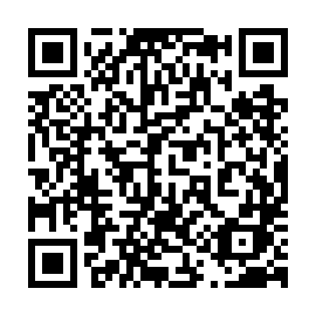 QR code for plate 411-WLH