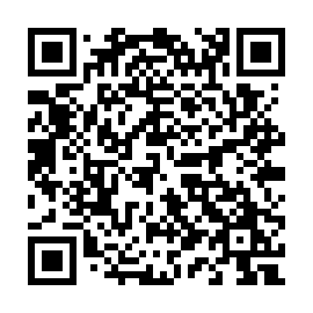 QR code for 411WPO