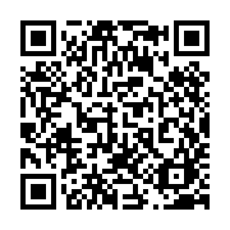 QR code for plate 413-PIC