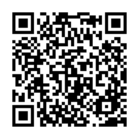QR code for plate 413-QDD
