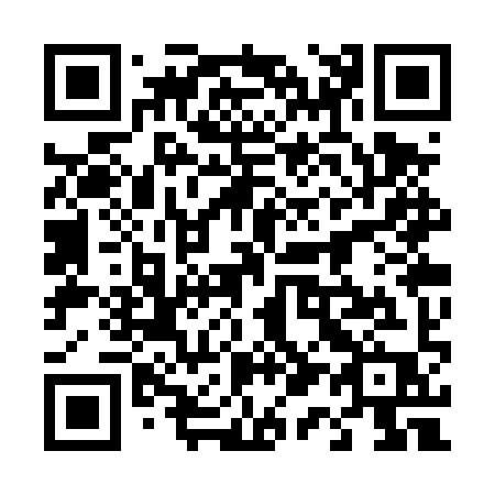 QR code for 413TYP