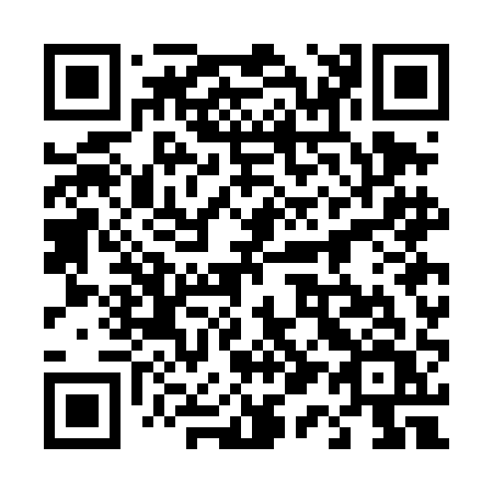 QR code for plate 417-DAV