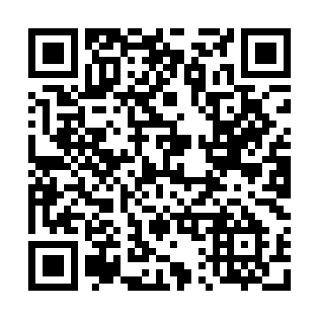 QR code for 419-AMM