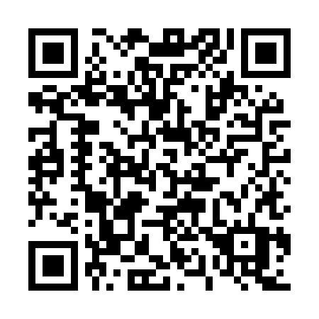 QR code for 419-MXT