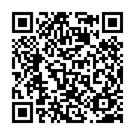 QR code for 419-PAT