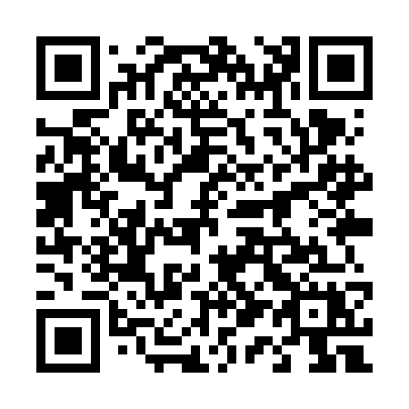 QR code for 419-VGX