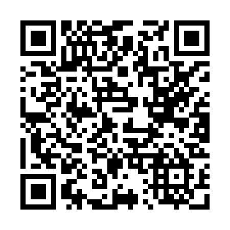 QR code for plate 419-HRM