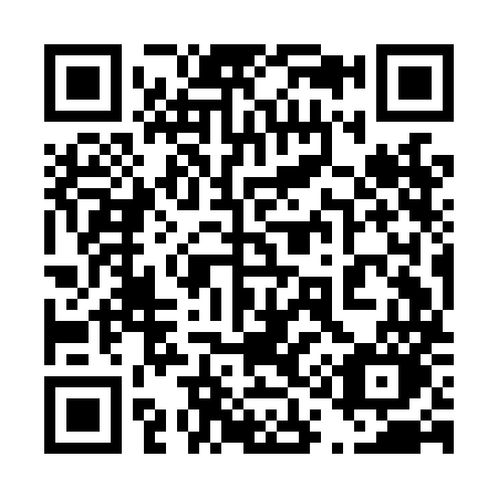 QR code for plate 419-LMO