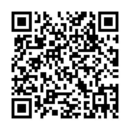 QR code for plate 419-RMA