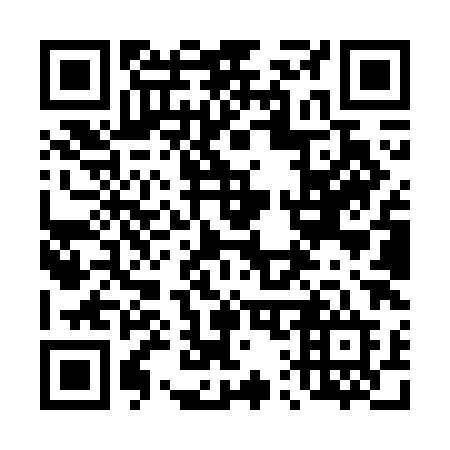 QR code for plate 419-WHD